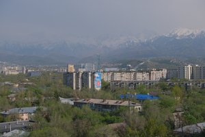 DSCF9572.JPG
