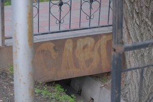 DSCF9584.JPG