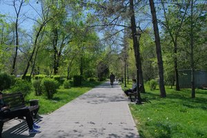 DSCF9607.JPG