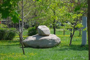 DSCF9609.JPG