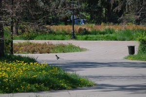 DSCF9612.JPG