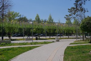 DSCF9615.JPG