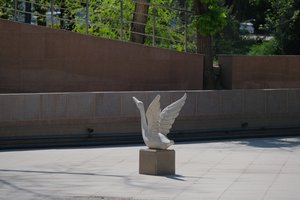DSCF9618.JPG