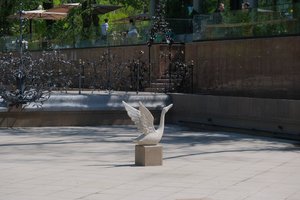 DSCF9622.JPG