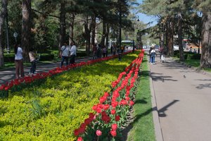 DSCF9629.JPG