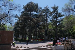 DSCF9631.JPG
