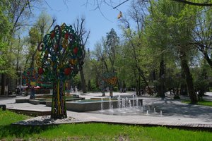 DSCF9643.JPG