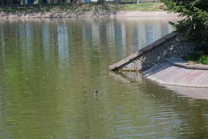DSCF9650.JPG