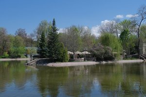 DSCF9659.JPG