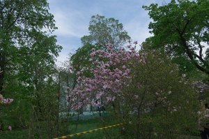 DSCF9694.JPG