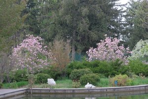 DSCF9698.JPG