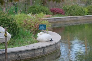 DSCF9701.JPG