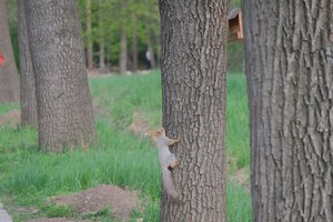 DSCF9715.JPG