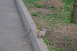 DSCF9721.JPG