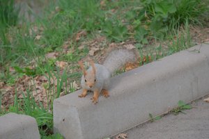 DSCF9724.JPG