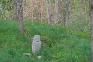 DSCF9725.JPG