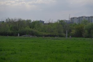 DSCF9748.JPG