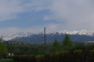 DSCF9750.JPG