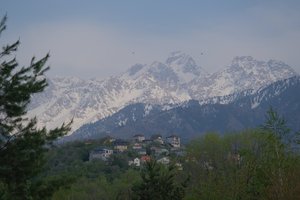 DSCF9752.JPG