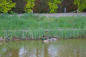 DSCF9757.JPG