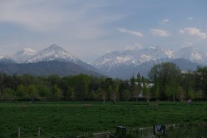DSCF9765.JPG