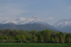 DSCF9768.JPG