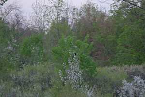 DSCF9781.JPG