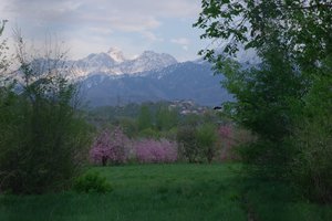 DSCF9783.JPG