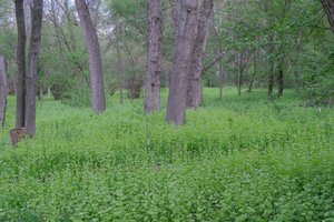 DSCF9795.JPG