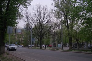 DSCF9800.JPG