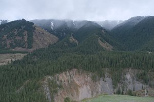 DSCF9809.JPG