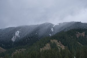 DSCF9845.JPG