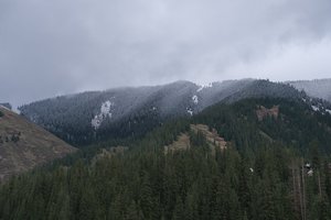 DSCF9846.JPG