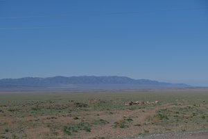 DSCF9855.JPG