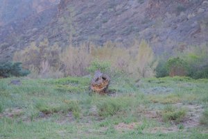 DSCF9935.JPG