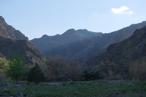 DSCF9938.JPG