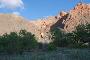 DSCF9940.JPG