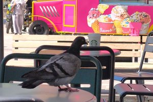 IMG_20260414_110818_062.jpg