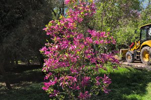 IMG_20260414_133917_523.jpg