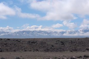 IMG_20260418_100242_848.jpg
