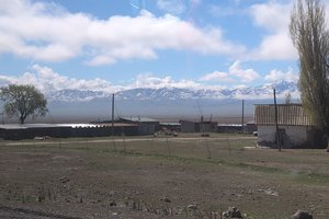 IMG_20260418_100316_098.jpg