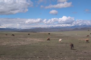 IMG_20260418_104416_709.jpg