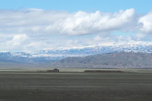 IMG_20260418_104500_008.jpg