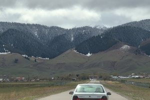 IMG_20260418_105308_296.jpg